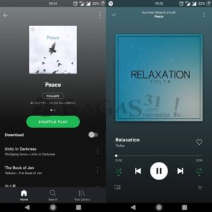 APK mod premium do Spotify